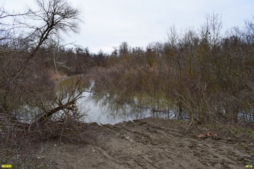 Западная часть Шапсугского водохранилища